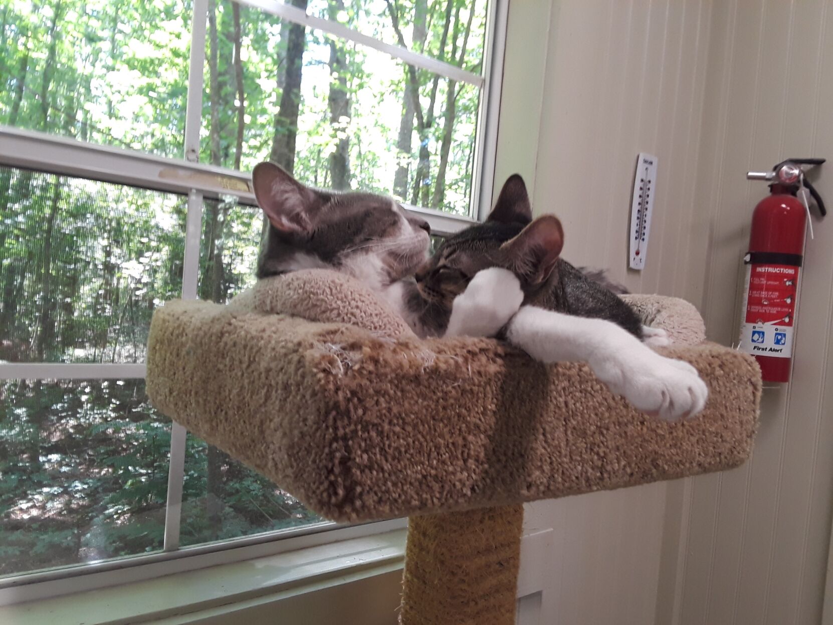 Pablo & Casey